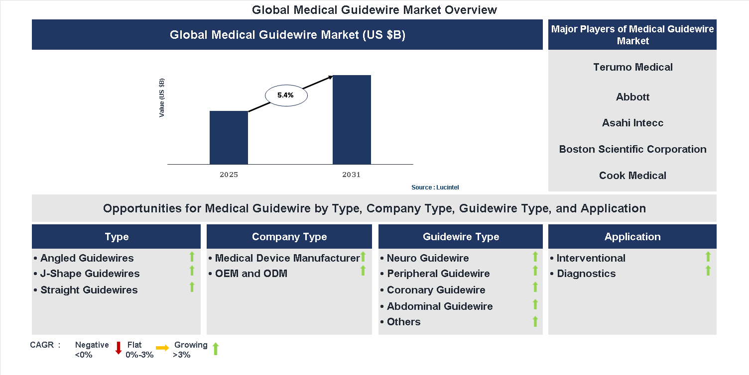 Medical Guidewire Market Trends and Forecast